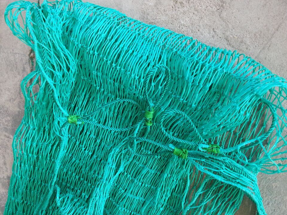 PP Cargo net