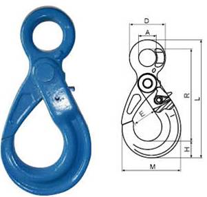 G100 Eye Self-lock Hook